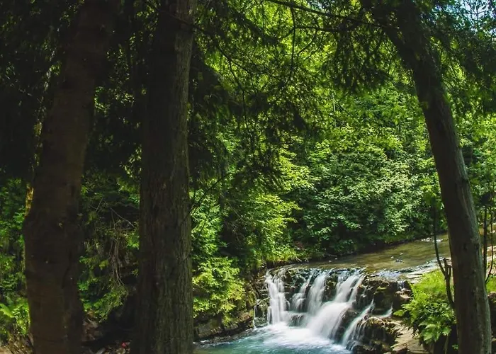 Szafran Villa Korbielów